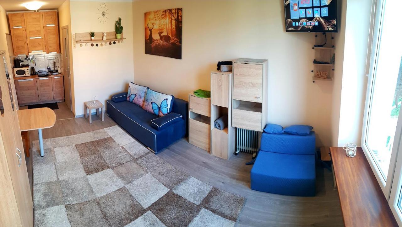 Na Halnej, Parking W Cenie! Blisko Deptak! Wygodnie Wyposazony! Apartmán Krynica Zdroj