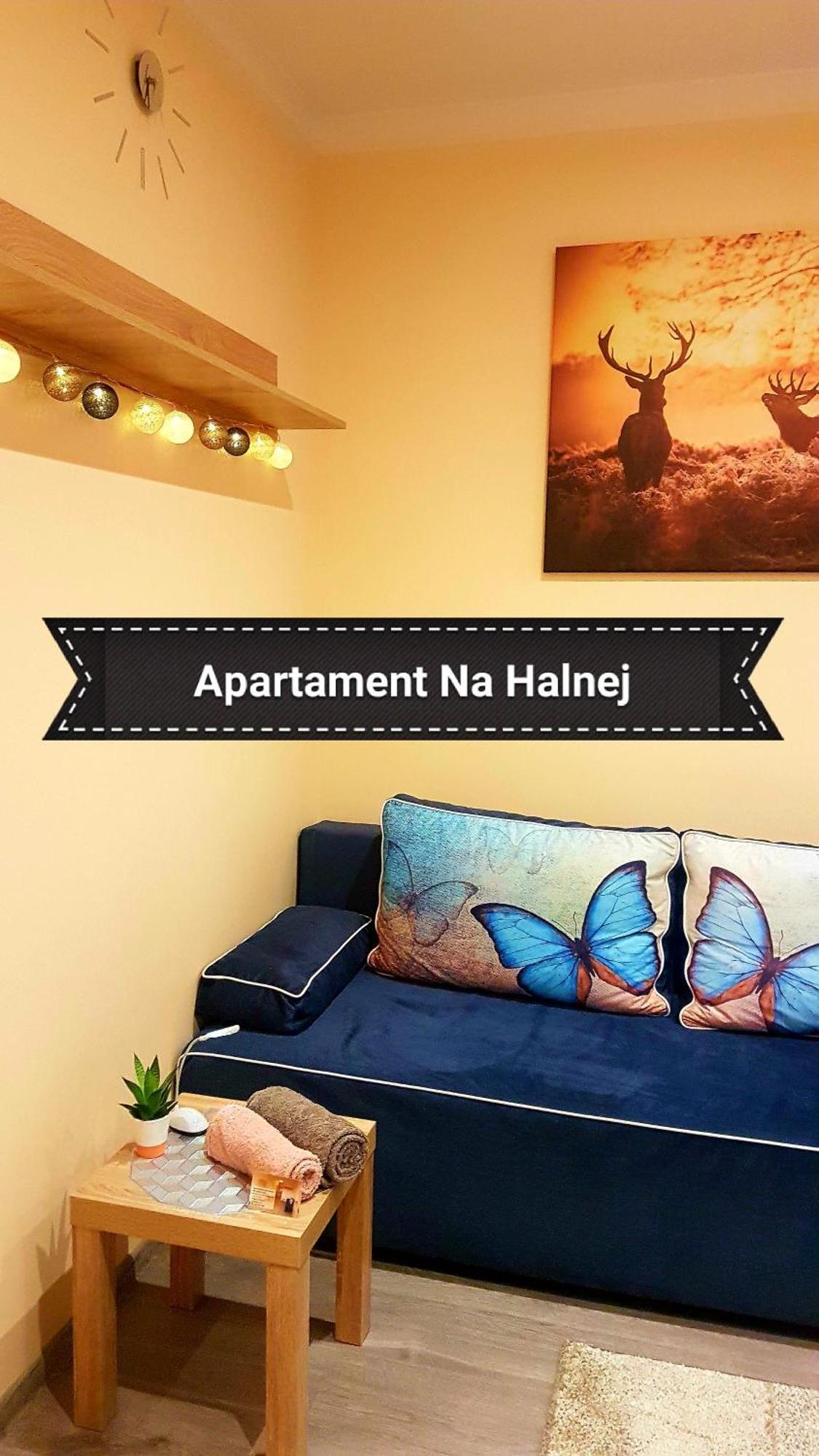 Na Halnej, Parking W Cenie! Blisko Deptak! Wygodnie Wyposazony! Apartmán *